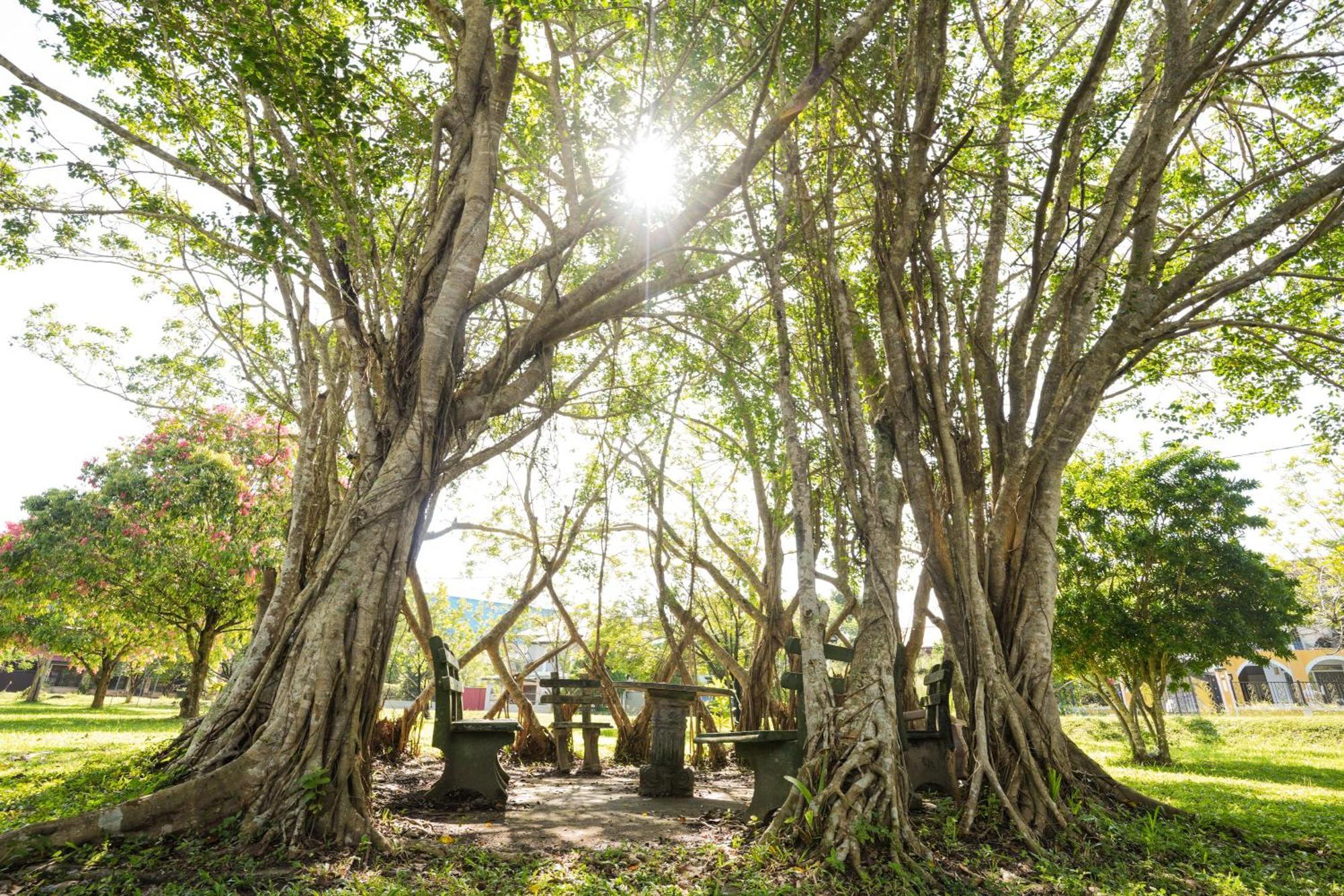 Summer House - Private Villa Close To International Airport Bia ジャ・エラ エクステリア 写真